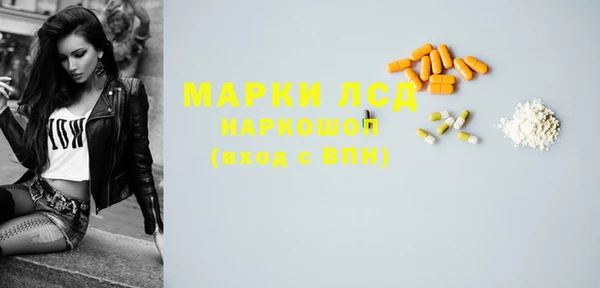 прущий лед Алзамай