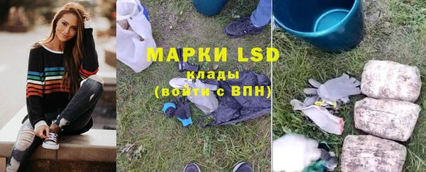 прущий лед Алзамай