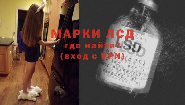 прущий лед Алзамай