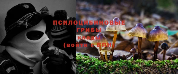 трава Алексеевка