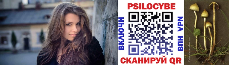 закладка  Ревда  MEGA   Галлюциногенные грибы прущие грибы 